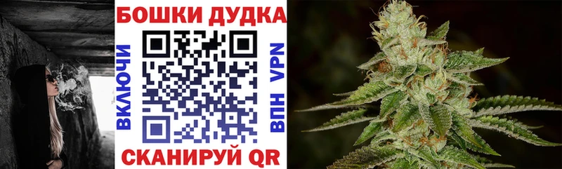 Виды наркотиков купить Балахна КОКАИН А ПВП Конопля АМФЕТАМИН МЕФ