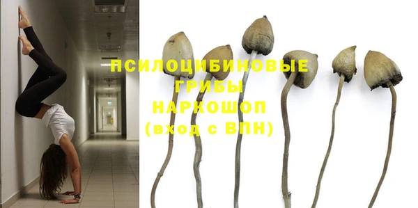 спиды Беломорск
