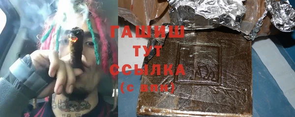 прущий лед Бородино