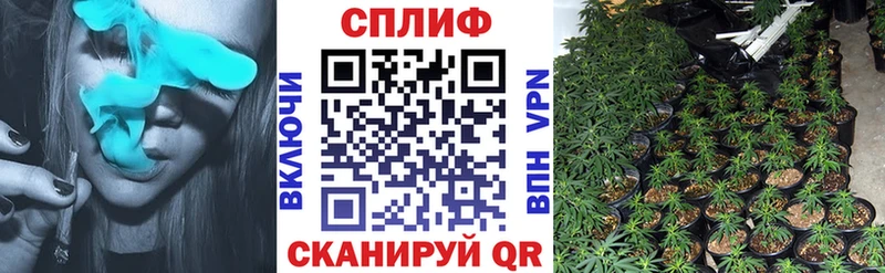 Бошки Шишки конопля  кракен ТОР  Балахна  закладка 